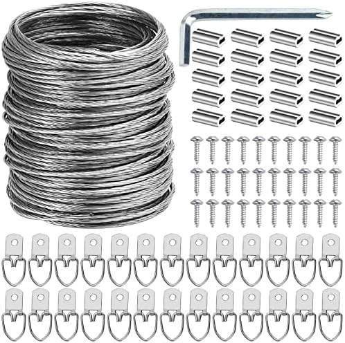 Billedeophængsudstyr | 1 stk. Billedeophængningswire kit, 1 fod kraftig wire billedeophængning til foto, spejl, ramme og kunstværker, inkluderet D-ring billedeophængere, skruer, aluminiumsrør, skruetrækker, op til 3 lbs. Billedeophængsudstyr Billedeophængsudstyr